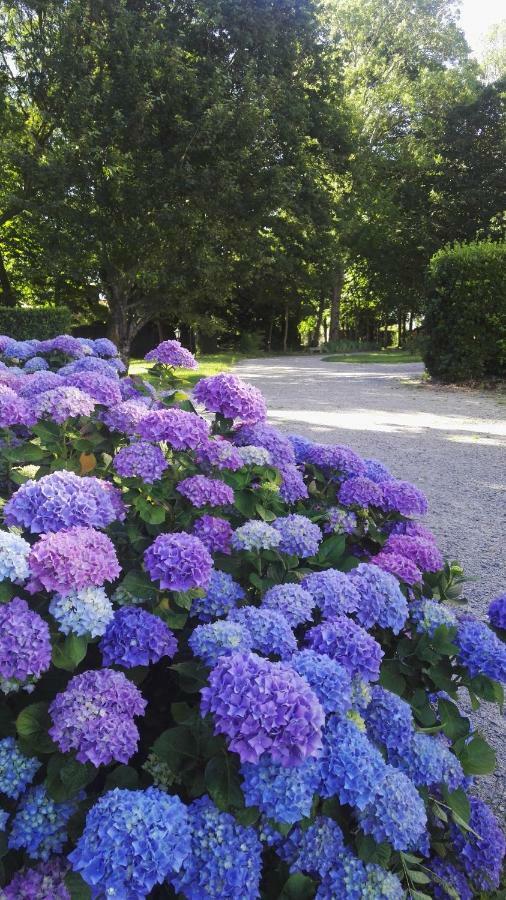 Domaine Du Plessis Grimaud Bed and Breakfast Saint-Viaud Eksteriør billede